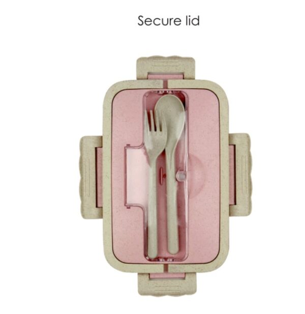 Lunchbox001 1