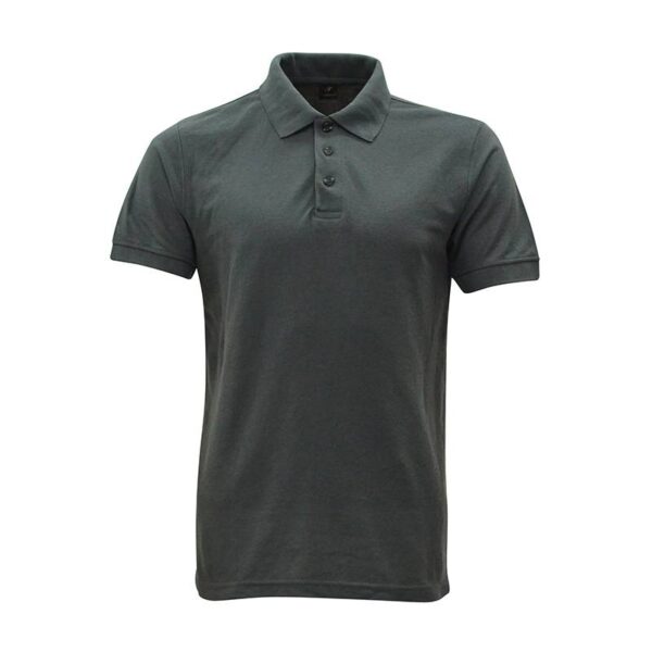 Polo1 1