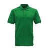 Polo1 2