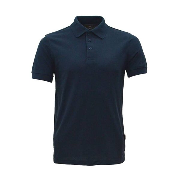 Polo1 3