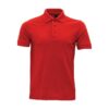 Polo1 4