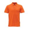 Polo1 5