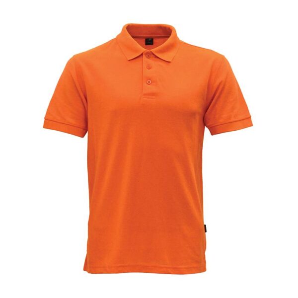 Polo1 5