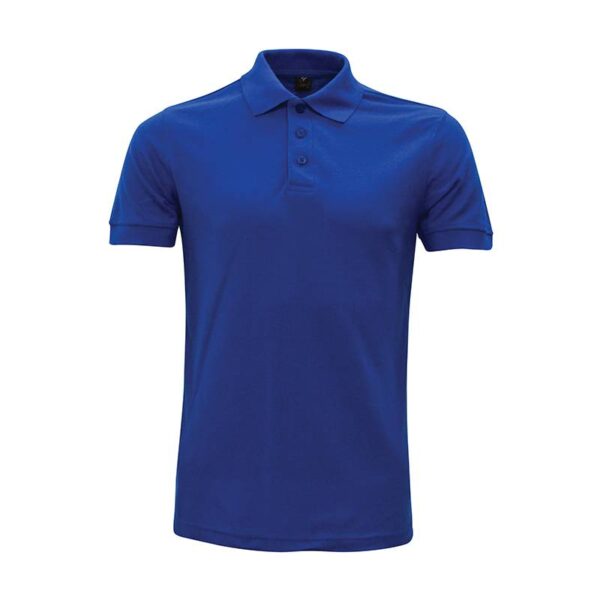 Polo1 6