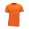 R01 06 Orange R01 06 Orange