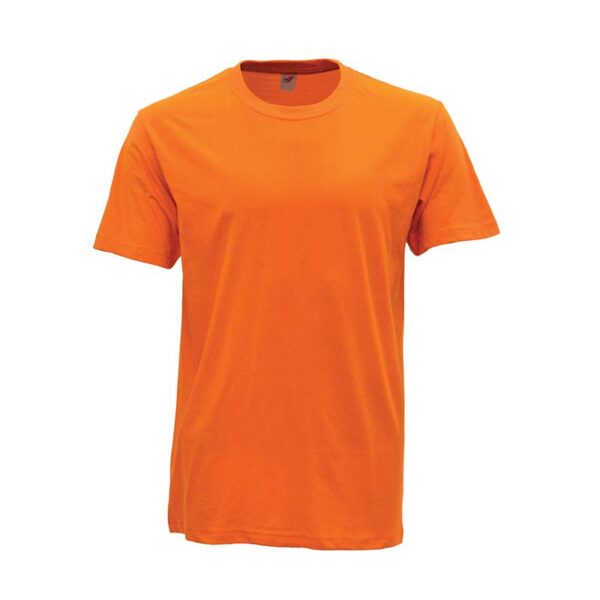 R01 06 Orange R01 06 Orange