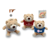 BEAR COIN BOX 02