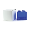 COIN BANK 04