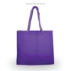 Non-Woven Bag 01