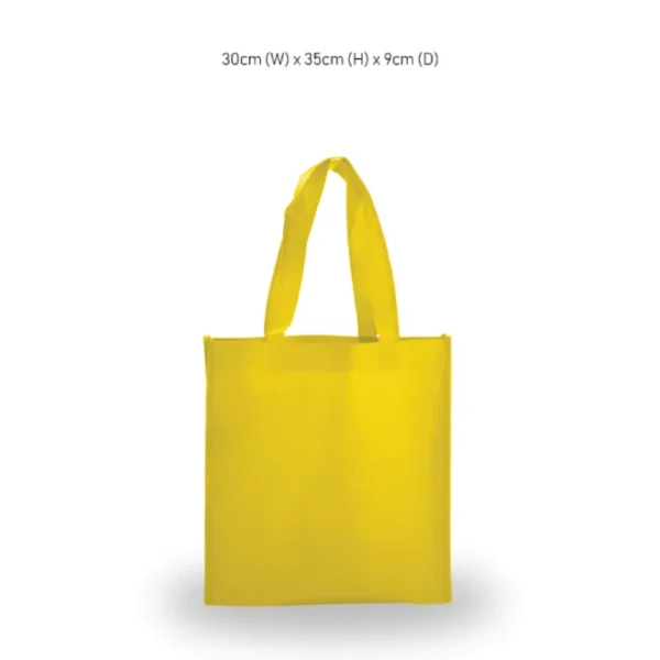 non-woven-bag-jrnw006-13 A4 Non-Woven Bag 01
