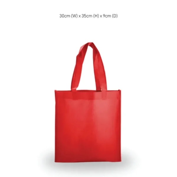 non-woven-bag-jrnw006-3 A4 Non-Woven Bag 01